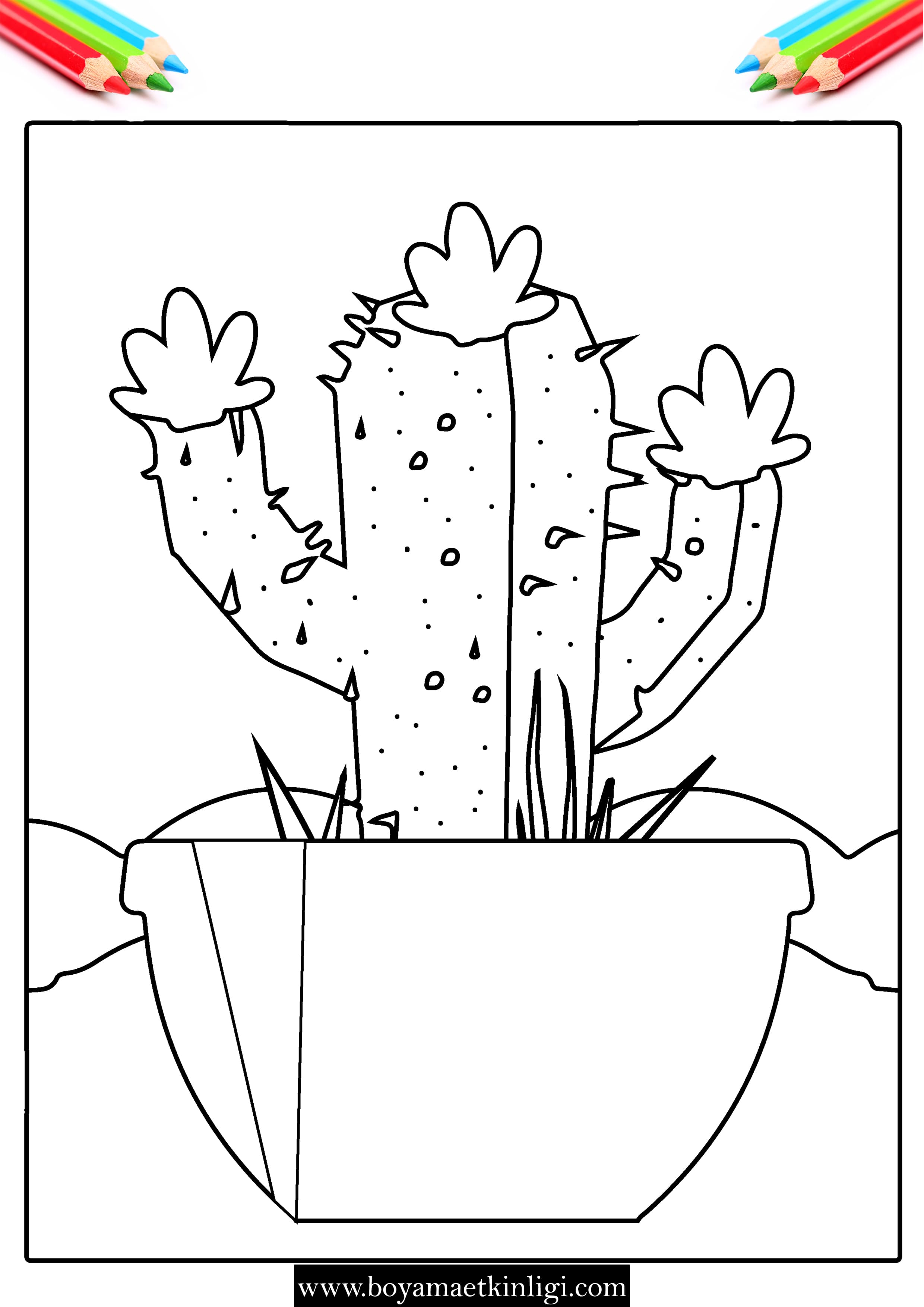 kaktus boyama sayfasi 4