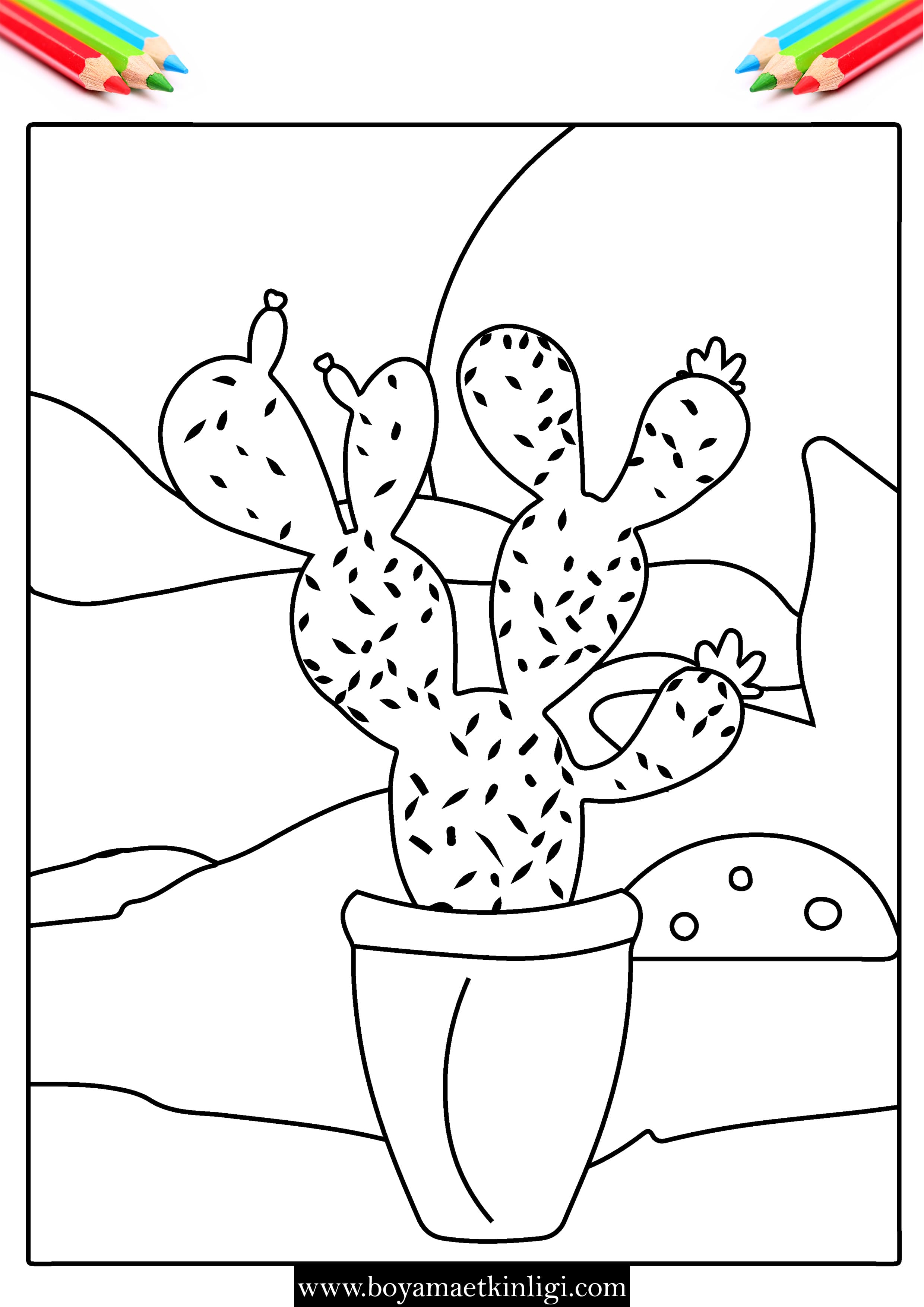 kaktus boyama sayfasi 6